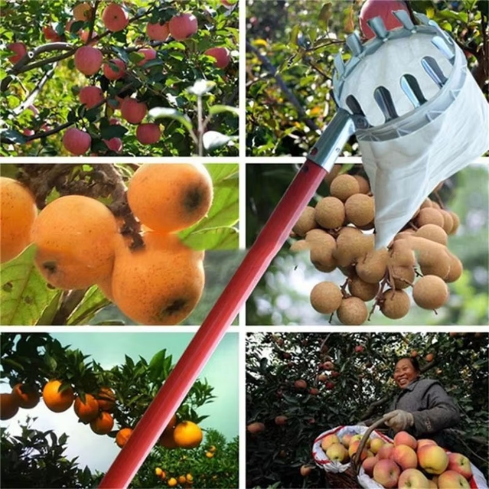 Agriculture Gardening Farming - Multi Purpose Telescopic Galvanized Iron Fruit