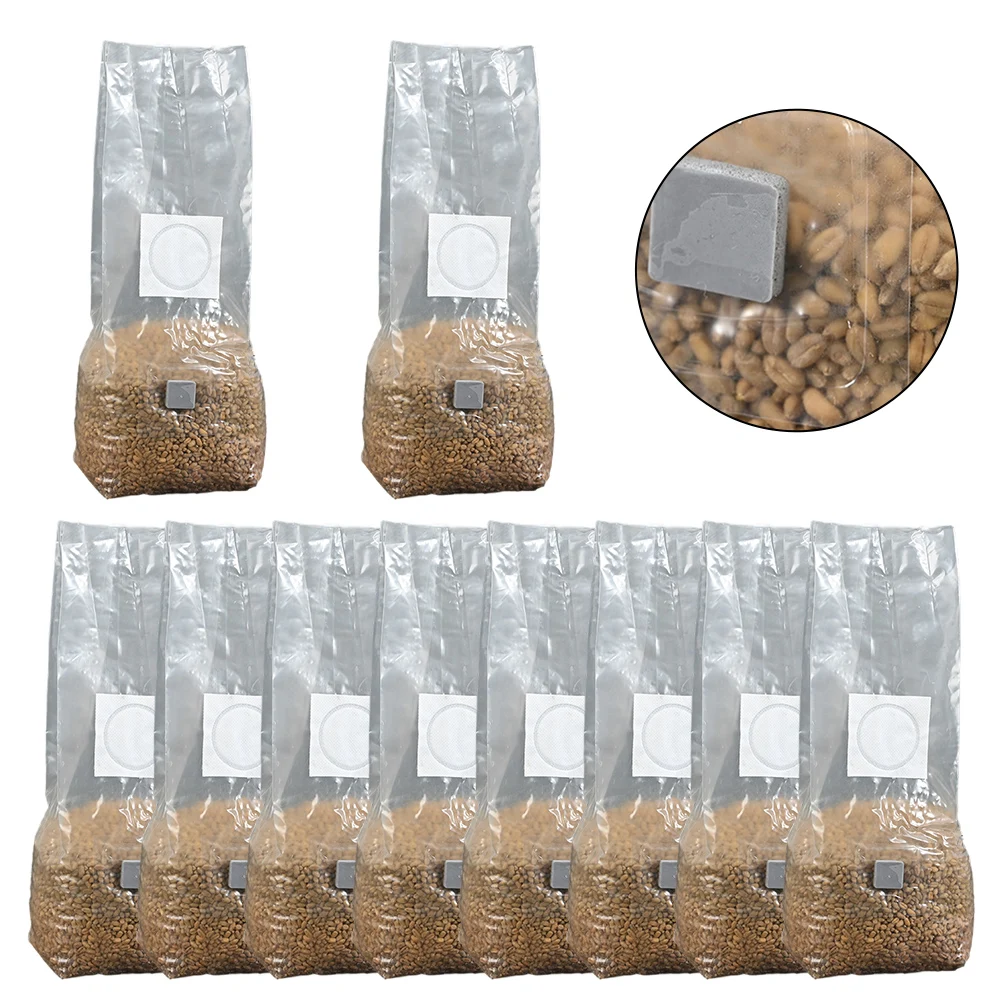 Mushroom Spawn Bag - 10pcs High-Yield Mushroom Cultivation Bags PP
