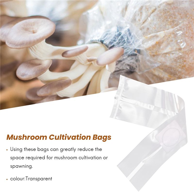 AT84-100Pcs Mushroom Growing B - Mushroom Spawn Bag のレビューと価格
