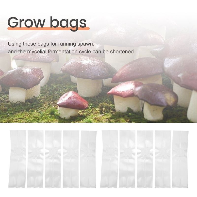 SEWS-100PCS Rye Grain Berries  - Mushroom Spawn Bag のレビューと価格