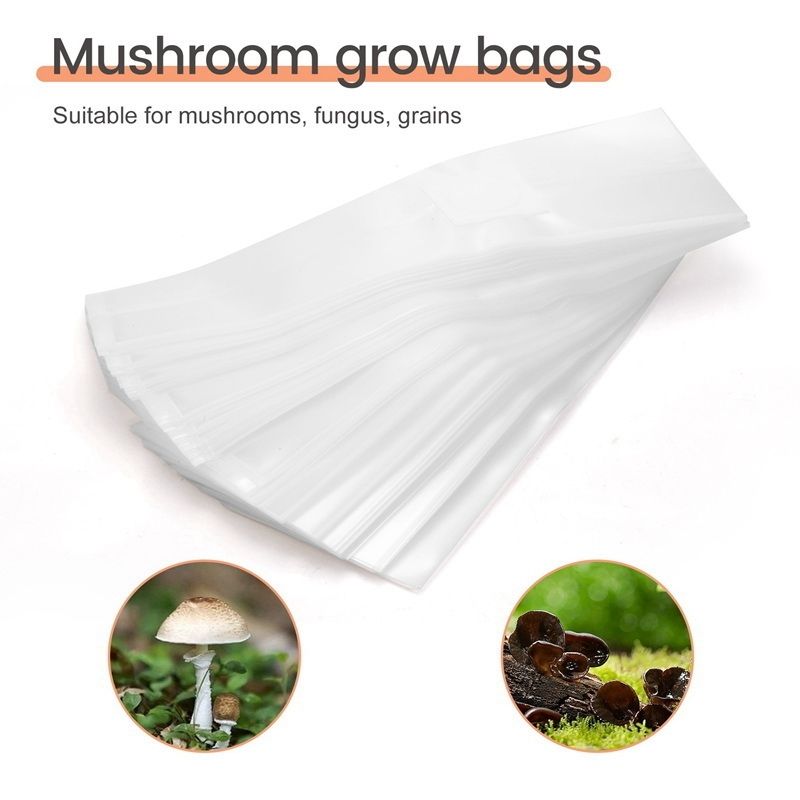 SEWS-100PCS Rye Grain Berries  - Mushroom Spawn Bag のレビューと価格
