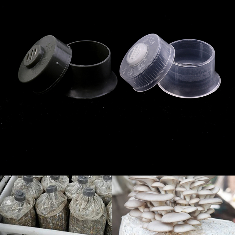 20pcs Mushroom Spawn Grow Bag  - Mushroom Spawn Bag のレビューと価格