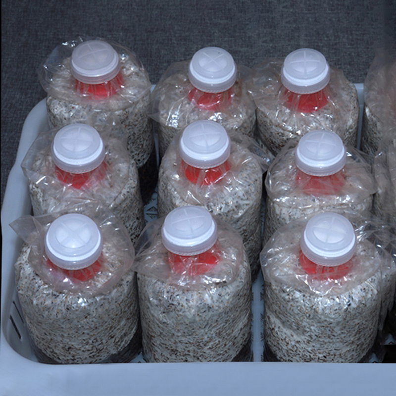 10Pcs Mushroom Grow Bag Sealer - Mushroom Spawn Bag のレビューと価格