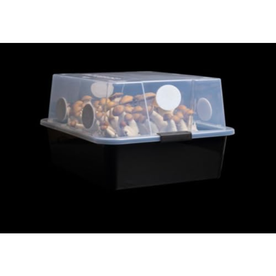 Mushroom Monotub Large 66Q Gro - Mushroom Spawn Bag のレビューと価格
