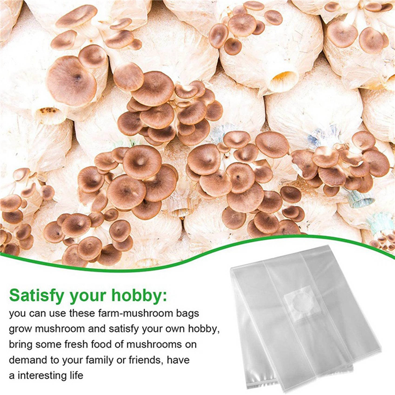 AA81-300Pcs Mushroom Growing B - Mushroom Spawn Bag のレビューと価格