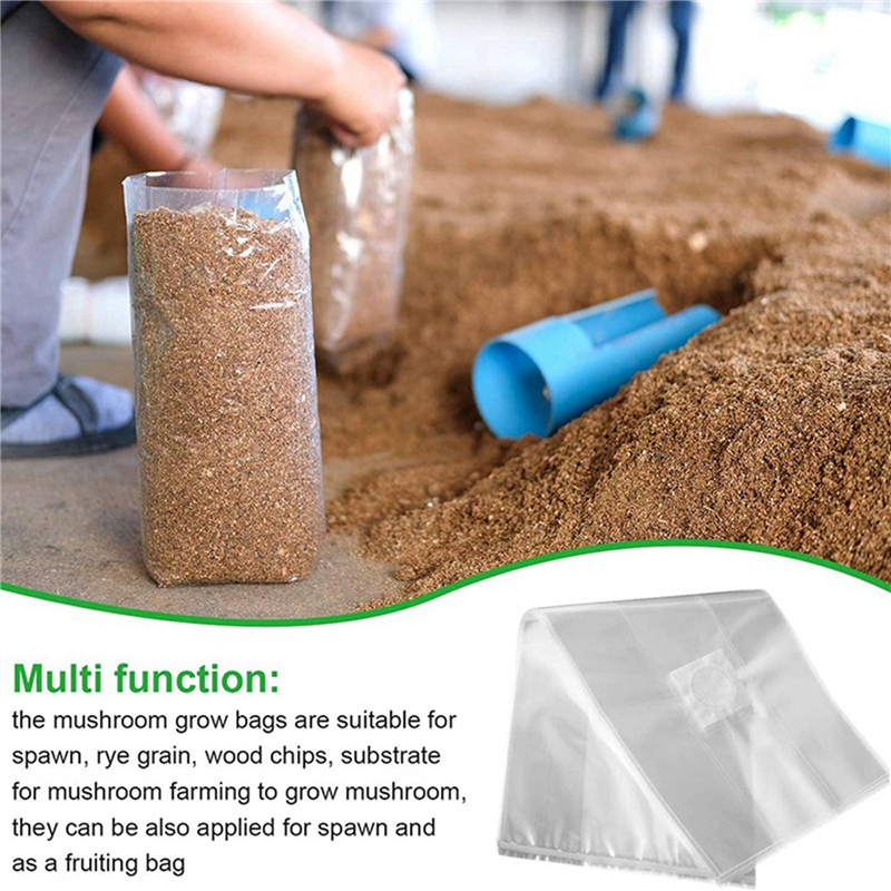 AA81-300Pcs Mushroom Growing B - Mushroom Spawn Bag のレビューと価格