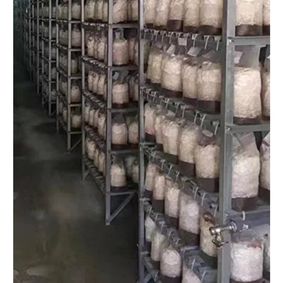 Mushroom Grow Bags XLS Extra L - Mushroom Spawn Bag のレビューと価格