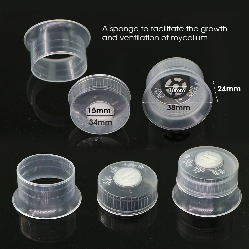 50/100PCS Mushroom Spawn Grow  - Mushroom Spawn Bag のレビューと価格