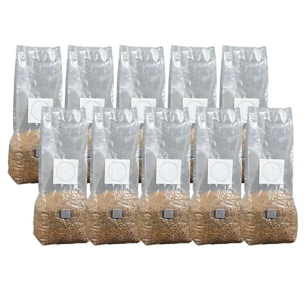 10pcs High-Yield Mushroom Cult - Mushroom Spawn Bag のレビューと価格