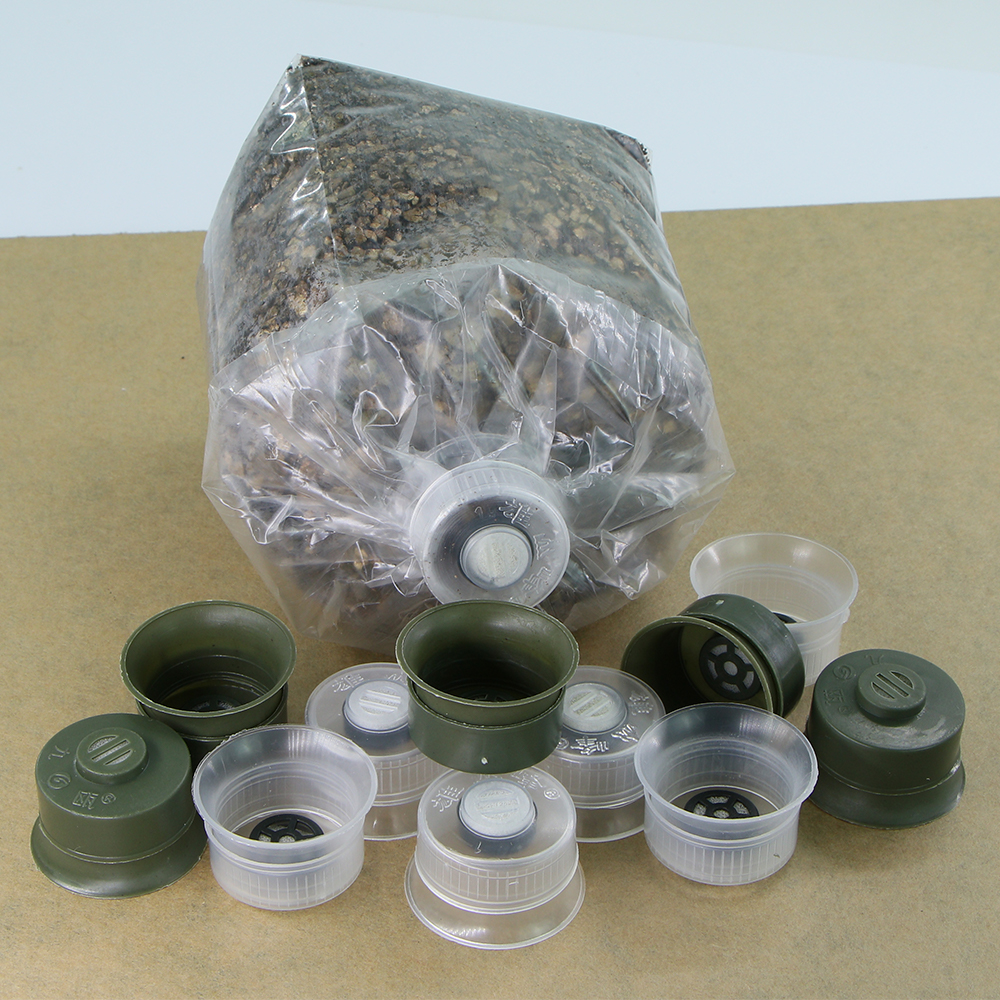 20/50pcs Mushroom Spawn Grow B - Mushroom Spawn Bag のレビューと価格