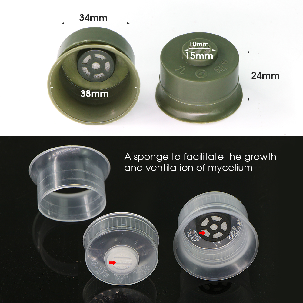 20/50pcs Mushroom Spawn Grow B - Mushroom Spawn Bag のレビューと価格
