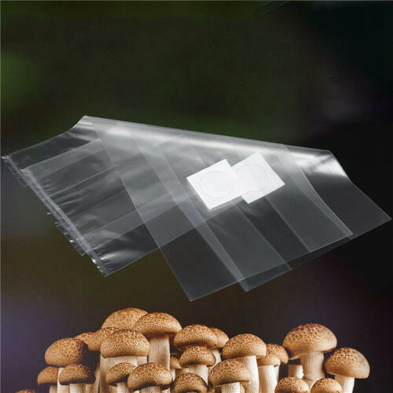 AB35-250Pcs PVC Mushroom Spawn - Mushroom Spawn Bag のレビューと価格