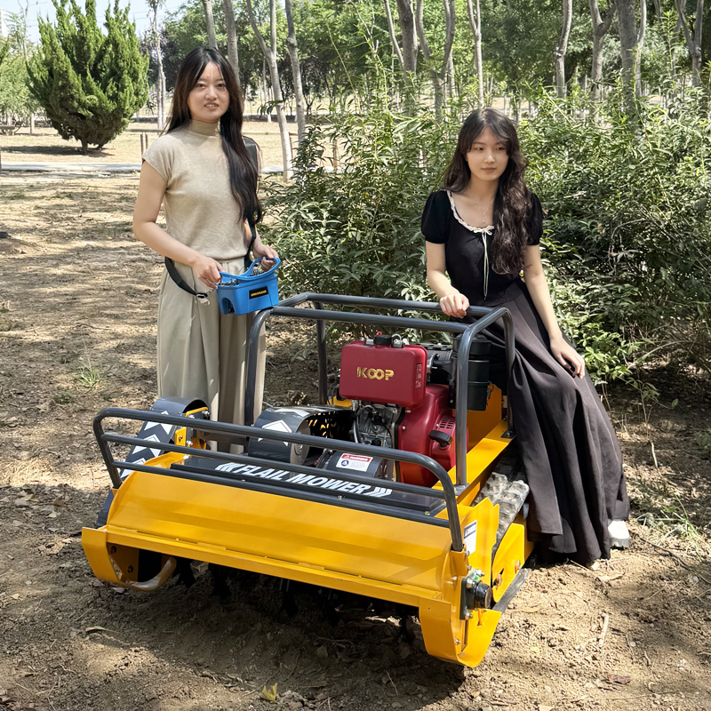 Customized Multifunctional Rem - Agriculture Gardening Farming のレビューと価格
