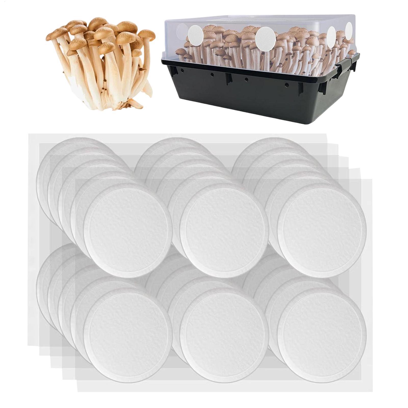 30Pcs Adhesive Filter Disks Br - Mushroom Spawn Bag のレビューと価格