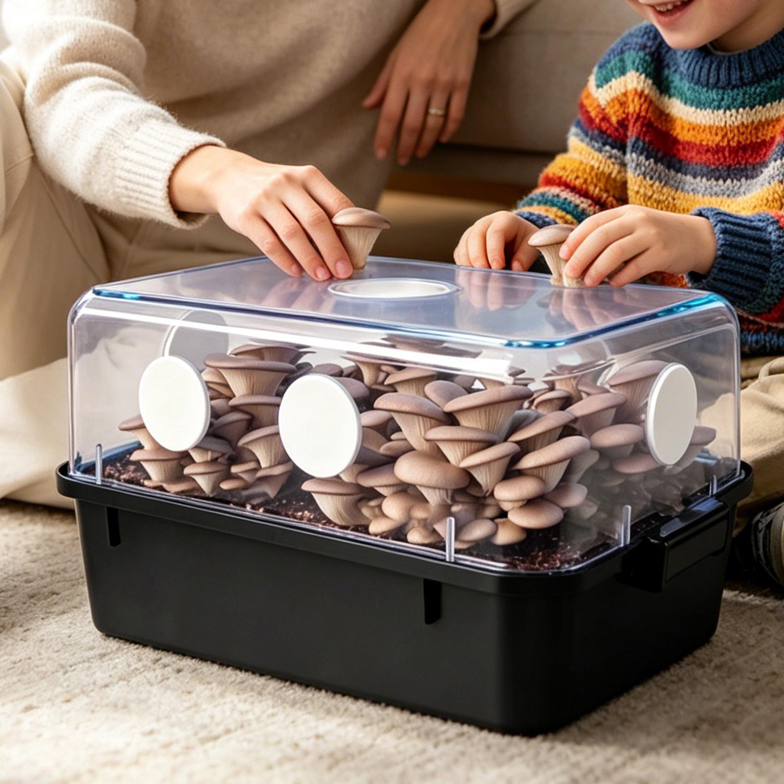30Pcs Adhesive Filter Disks Br - Mushroom Spawn Bag のレビューと価格