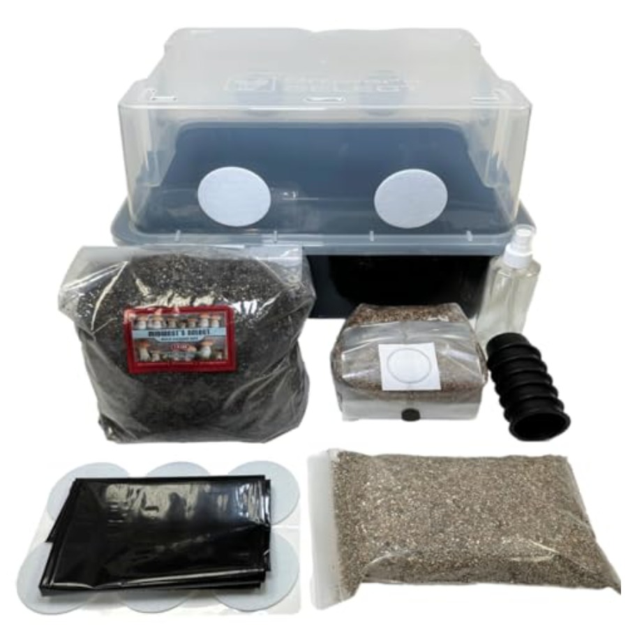 Mushroom Monotub Grow Kit for  - Mushroom Spawn Bag のレビューと価格