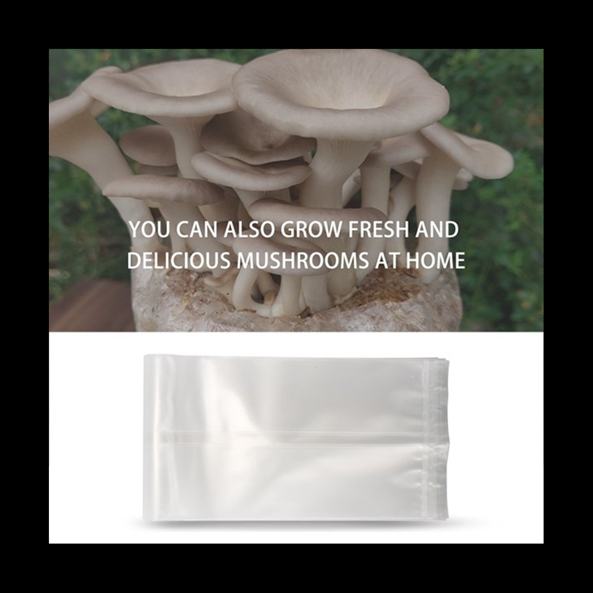 A78I 50 Count Mushroom Bags/Mu - Mushroom Spawn Bag のレビューと価格
