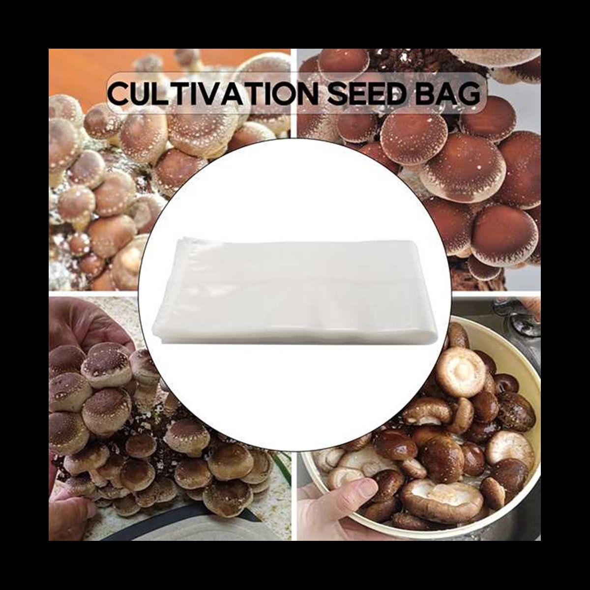 A78I 50 Count Mushroom Bags/Mu - Mushroom Spawn Bag のレビューと価格